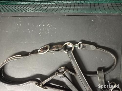 Equitation - Licol cuir noir  - photo 6