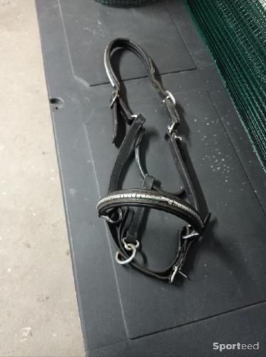 Equitation - Licol cuir noir  - photo 6