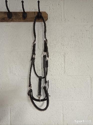Equitation - Licol cuir noir  - photo 6