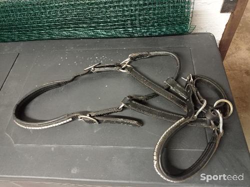 Equitation - Licol cuir noir  - photo 6