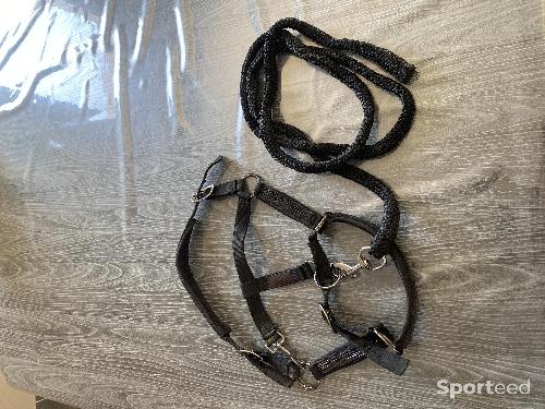 Longe et licol noir 