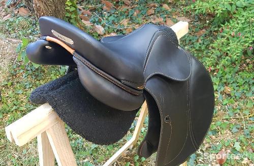 Equitation - Selle Antarès neuve cheval cso modèle évolution  - photo 6