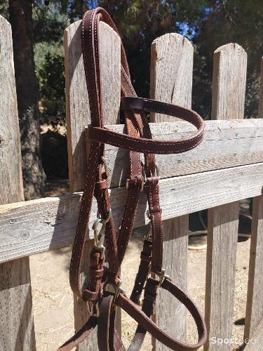 Equitation - Filet licol - photo 3