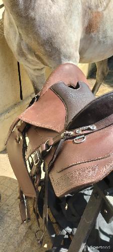 Equitation - Selle de randonnée  - photo 6