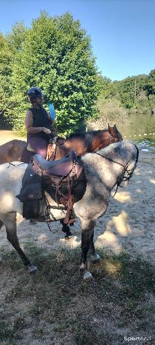 Equitation - Selle de randonnée  - photo 6