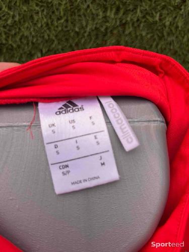 Football - Sweat training Russie  - photo 6