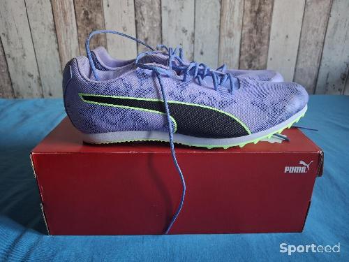 Athlétisme - Puma Evospeed Star 8 M  - photo 6
