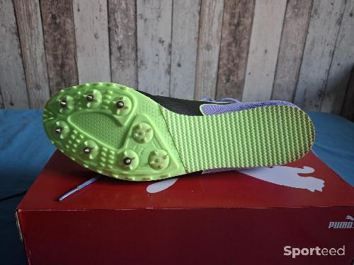 Athlétisme - Puma Evospeed Star 8 M  - photo 6