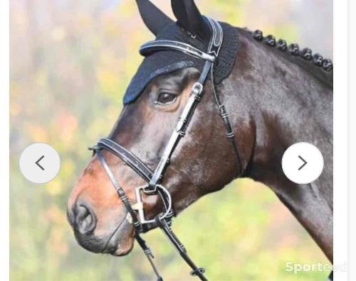 Equitation - Bridon carat noir jumpin - photo 3