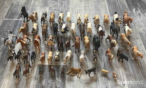 Equitation - schleichs - photo 6