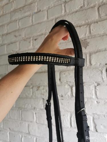 Equitation - Filet strass Norton - photo 6