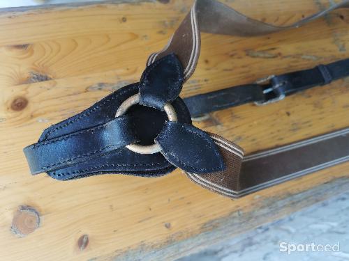 Equitation - Collier de chasse Norton  - photo 6