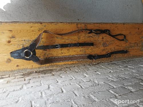 Equitation - Collier de chasse Norton  - photo 6