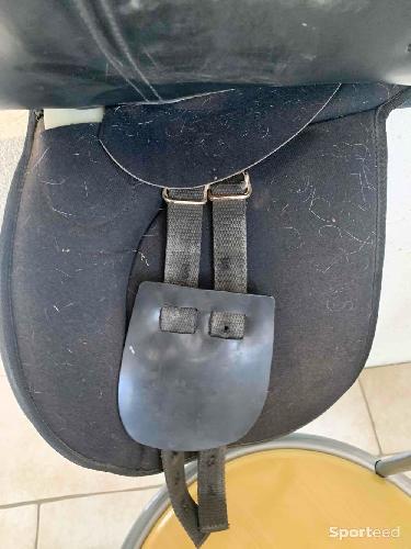 Equitation - selle cheval - photo 6