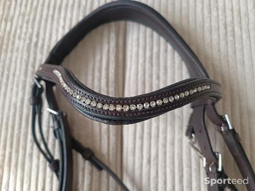 Equitation - Filet CS - photo 6
