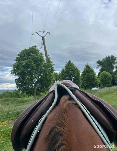 Equitation - Selle mixte  - photo 5
