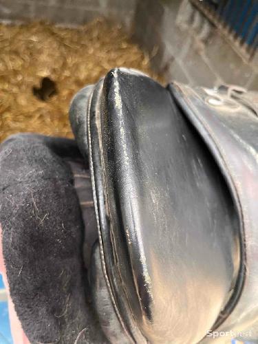 Equitation - Selle TdeT URGENT !🚨  - photo 6