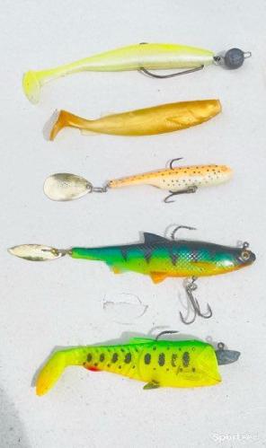 Pêche - Leurre typé brochet/silure - photo 6