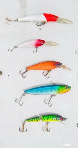 Pêche - Leurre typé brochet/silure - photo 6