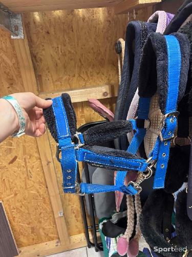 Equitation - Licol et longe bleu roi  - photo 6