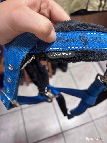Equitation - Licol et longe bleu roi  - photo 6