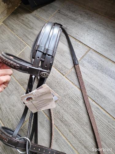 Equitation - Bitless taille cob F R A - photo 6