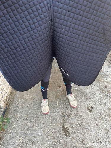 Equitation - Tapis horses  - photo 4