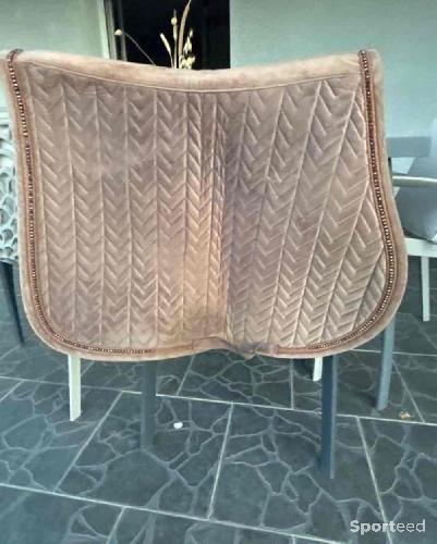 Equitation - tapis cheval  - photo 6