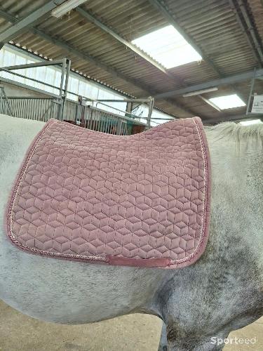 Equitation - Tapis kentucky dressage rose  - photo 4