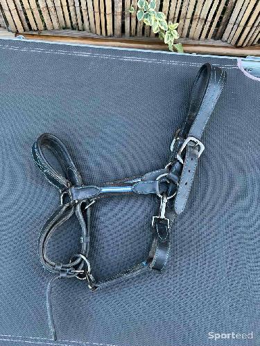 Equitation - Licol en cuir  - photo 3