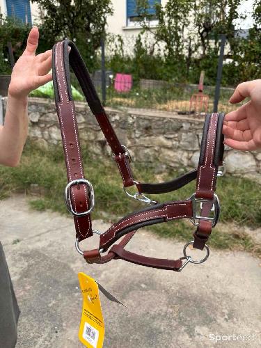Equitation - Licol cuir - photo 3