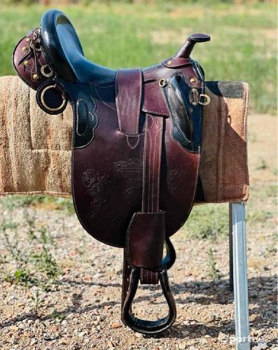 Equitation - Selle australienne  - photo 4