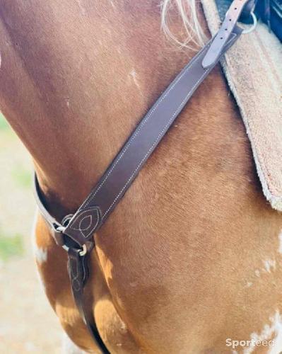 Equitation - Selle australienne  - photo 4