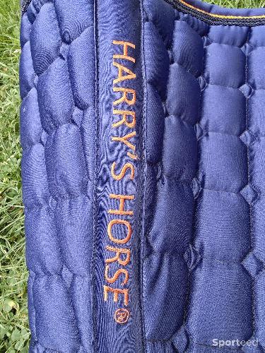 Equitation - Tapis de dressage  - photo 5