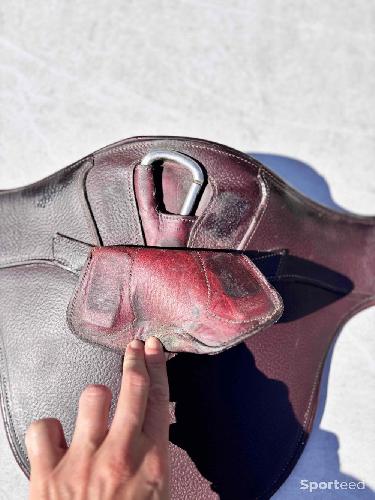 Equitation - Sangle bavette - photo 6