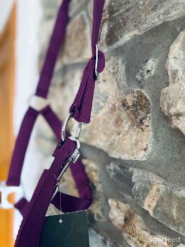 Equitation - Licol violet taille cob neuf  - photo 6