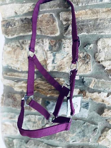 Equitation - Licol violet taille cob neuf  - photo 6