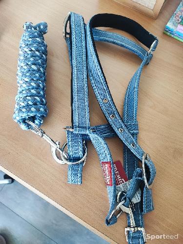 Licol et corde
