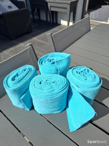 Bande de polo bleue claire