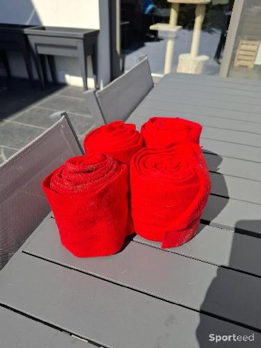 Bande de polo rouge