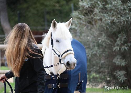 Equitation - Chemise de presentation polaire 135cm - photo 4
