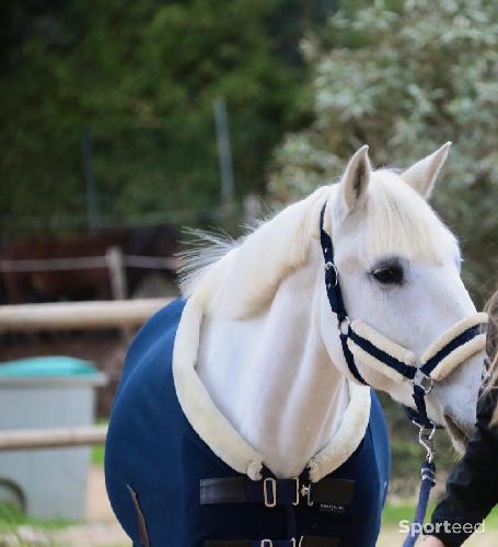 Equitation - Chemise de presentation polaire 135cm - photo 4