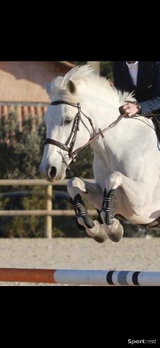 Equitation - Filet taille poney - photo 6