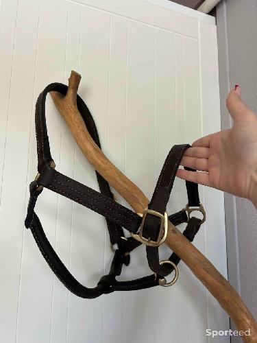 Equitation - Licol en cuir - photo 3
