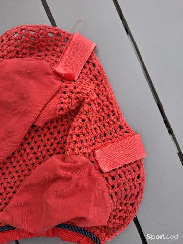 Equitation - Bonnet taille cob - photo 3
