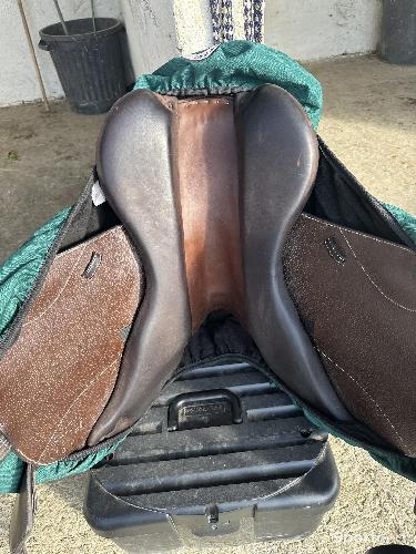 Equitation - Selle Boekelo 17.5 novembre 2023 - photo 6