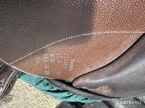 Equitation - Selle Boekelo 17.5 novembre 2023 - photo 6