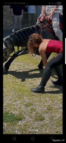 Equitation - Leggin equitation East - photo 5