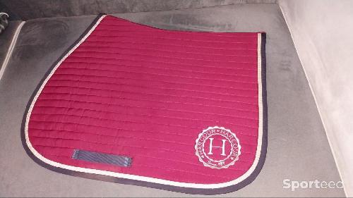 Equitation - Tapis Harcour  - photo 6