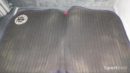 Equitation - Tapis Harcour  - photo 6